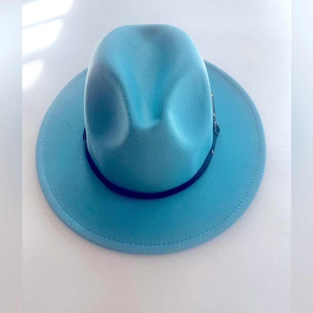 Super Cool felt fedora! OS fits most. NWOT